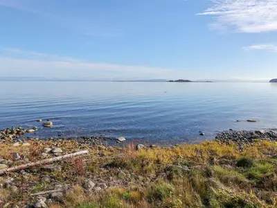 View 45
