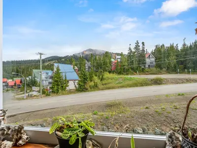 View 13