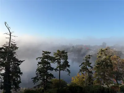 View 21