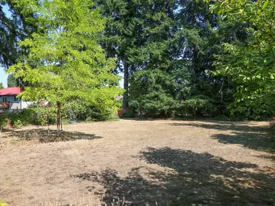 View 31