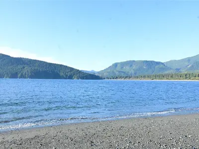 View 39