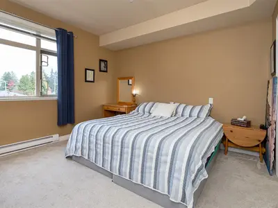 View 15