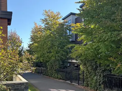 View 27