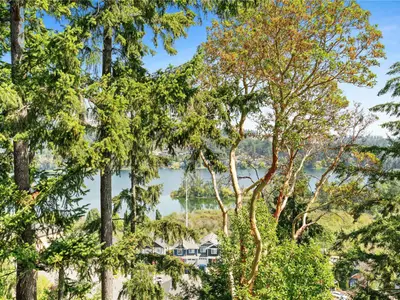 View 18