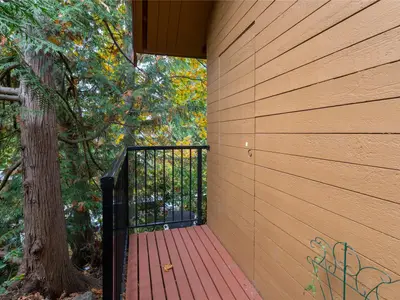 View 24