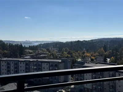View 22