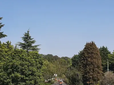 View 25