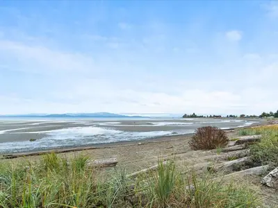 View 36