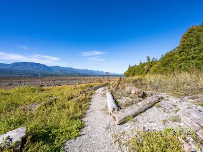 View 53