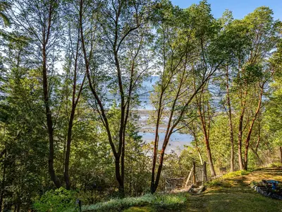 View 34