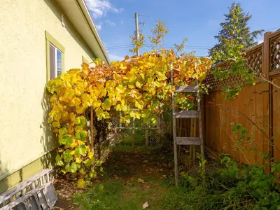 View 39