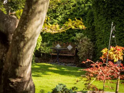 View 34