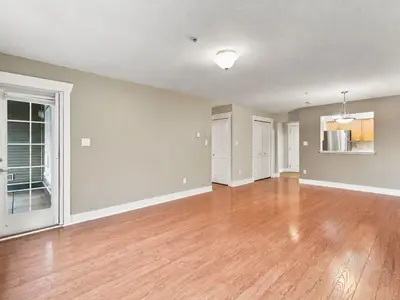 View 24