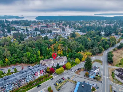 View 50