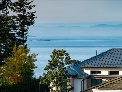 View 71