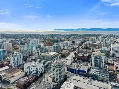 View 25