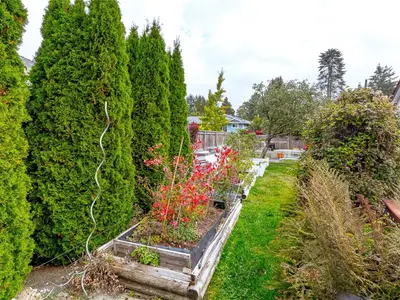 View 51