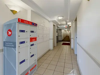 View 24