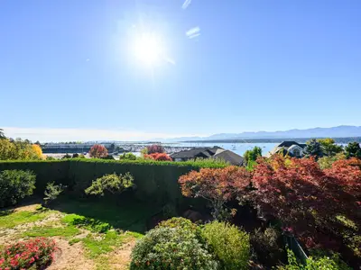 View 15