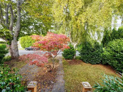 View 25
