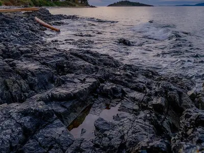 View 29