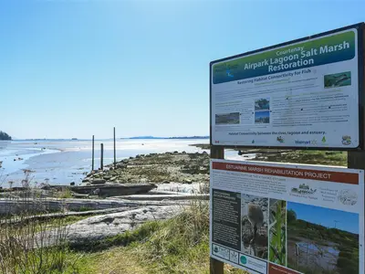 View 29
