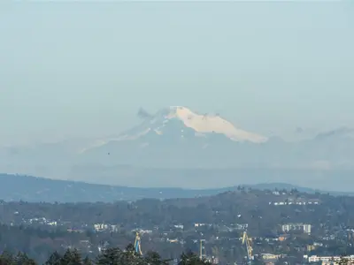 View 32