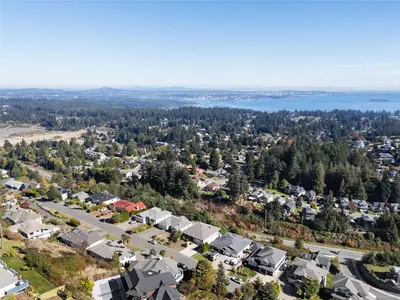 View 51