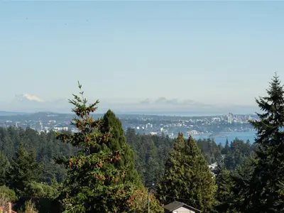 View 31