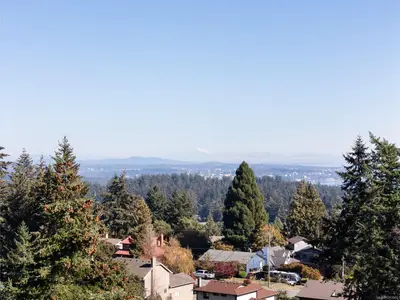View 29