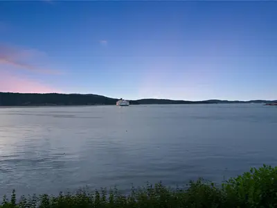 View 39