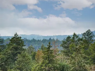 View 39