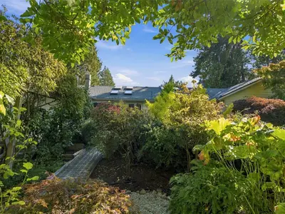View 37