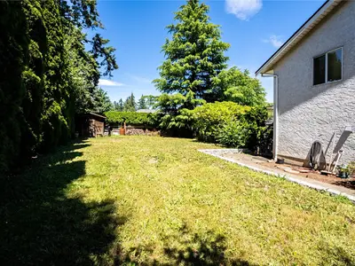 View 39