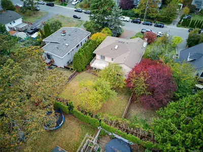 View 53