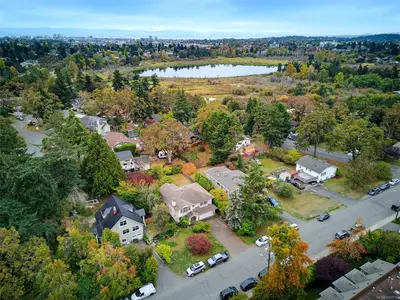 View 50