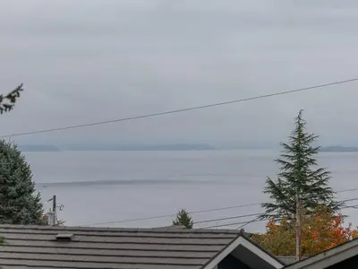 View 62