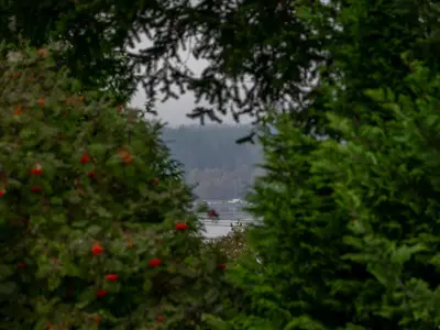 View 63