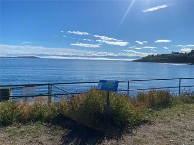 View 32