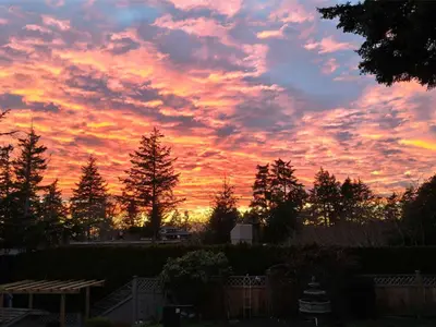 View 79