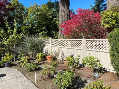 View 61