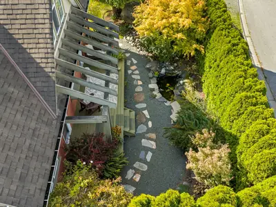 View 49