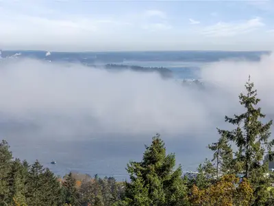 View 52