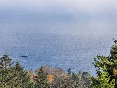 View 54