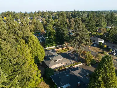 View 51
