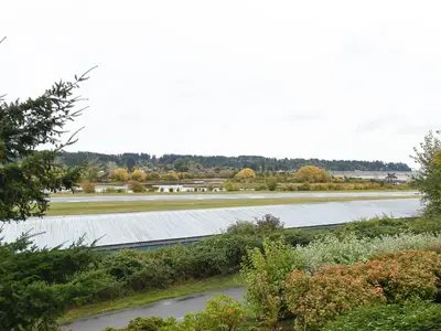 View 23