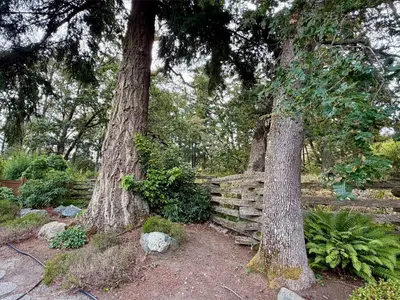 View 36
