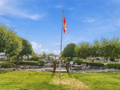 View 31