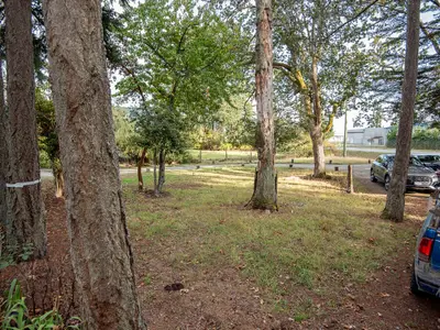 View 48