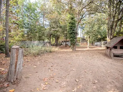 View 31